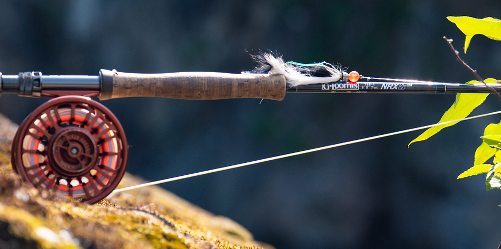 Wild Fishing Shop -Wild Fishing Shop W0 0G B4FASAZH5