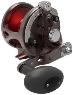 Avet JX G2 Lever Drag Casting Reels -Wild Fishing Shop avet jx g2 lever drag casting reels 25224.1670274617