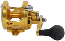 Avet MXJ 5.8 G2 1 Speed Reel - Gold (No Glide Plate) -Wild Fishing Shop avet mxj 5 8 g2 rh gd ngp reel 65158.1651417671