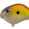 Bill Lewis Rat-L-Trap MR-6 - Amber Shad