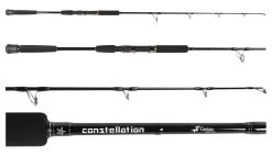 Centaur Anglers Choice Constellation Jigging Rods 5 Centaur Anglers Choice Constellation Jigging Rods -Wild Fishing Shop centaur anglers choice constellation jigging rods 28564.1651422295
