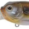 Duckett Fishing BD Sculpo DR Crankbait - Gizzard Shad
