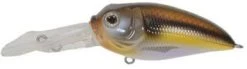 Duckett Fishing BD Sculpo DR Crankbait - Gizzard Shad