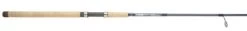G.LOOMIS G-Loomis Salmon Series Spinning Rods