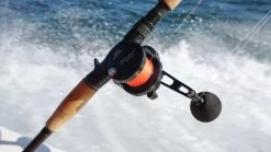 Jigging World Micro Jigging Lever Drag Conventional Reels -Wild Fishing Shop jigging world micro jigging lever drag conventional reels 03694.1678199474