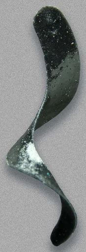 Otter Lure & Tackle CS - Curly Short Tail 4 3/4 X 1/2in 10 Pack Black