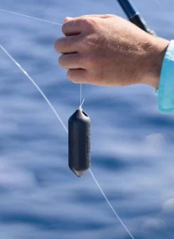 Sharkbanz Fishing Zeppelin -Wild Fishing Shop sharkbanz sbf 0zep zeppelin 28992.1651418536