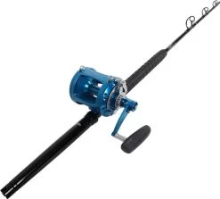 Avet EXW 50/2 Blue / TackleDirect Platinum Hook Standup Combo