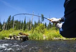 Thomas & Thomas Avantt Series Fly Rods -Wild Fishing Shop thomas thomas avantt series fly rods 24051.1651330434
