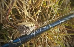 Thomas & Thomas Avantt Series Fly Rods -Wild Fishing Shop thomas thomas avantt series fly rods 92418.1651330433