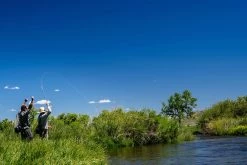 Thomas & Thomas Lotic Series Fly Rods -Wild Fishing Shop thomas thomas lotic series fly rods 25489.1651330459