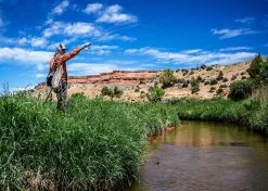 Thomas & Thomas Lotic Series Fly Rods -Wild Fishing Shop thomas thomas lotic series fly rods 43205.1651330459