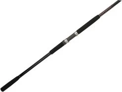 Ugly Stik Bigwater Spinning Rods -Wild Fishing Shop ugly stik bigwater spinning rods 36325.1651332943