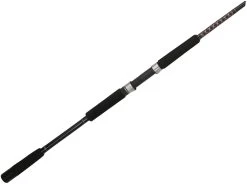 Ugly Stik Bigwater Spinning Rods -Wild Fishing Shop ugly stik bigwater spinning rods 58496.1651332942