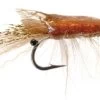 Umpqua 15611 Ultra Shrimp Popovic